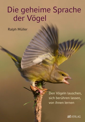 Buch: Die geheime Sprache der Vögel von Ralph Müller